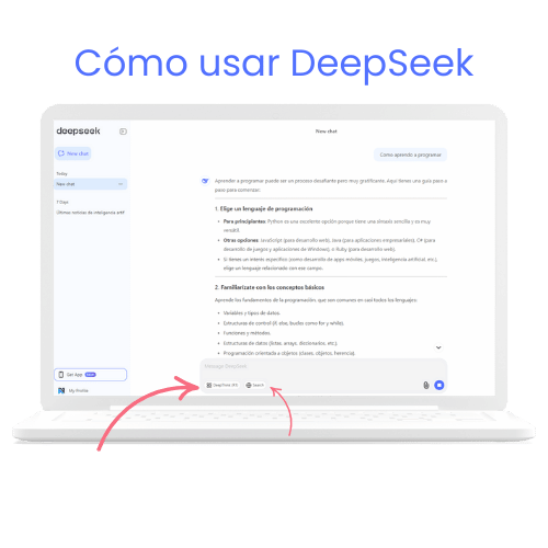 Como usar DeepSeek